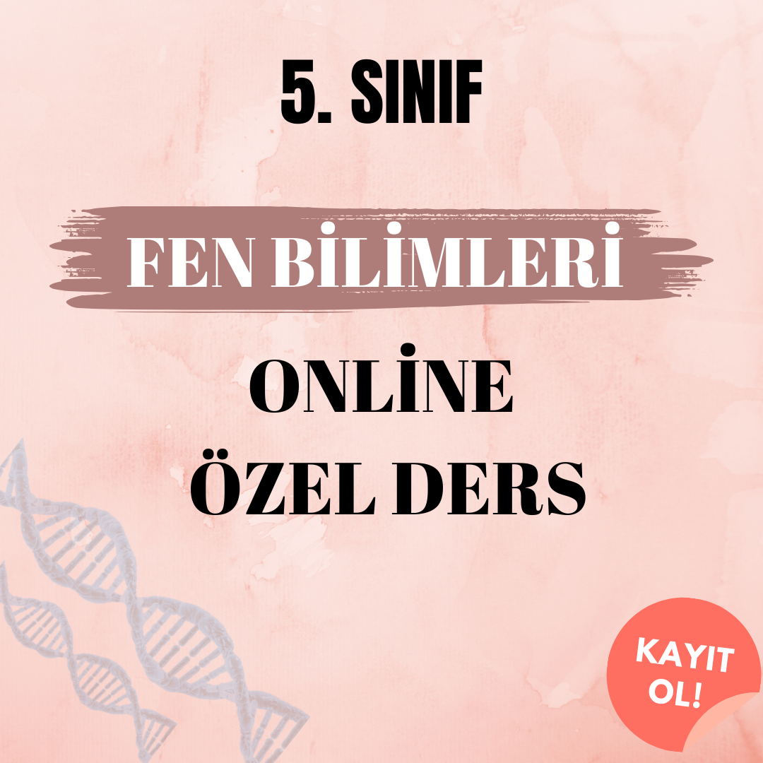 5. Sınıf. Fen Bilimleri Online Özel Ders