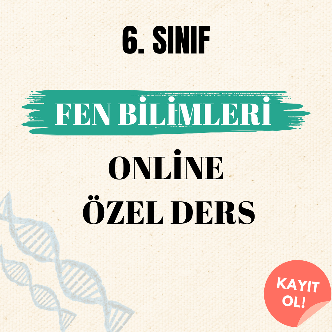 6. Sınıf Fen Bilimleri Online Özel Ders