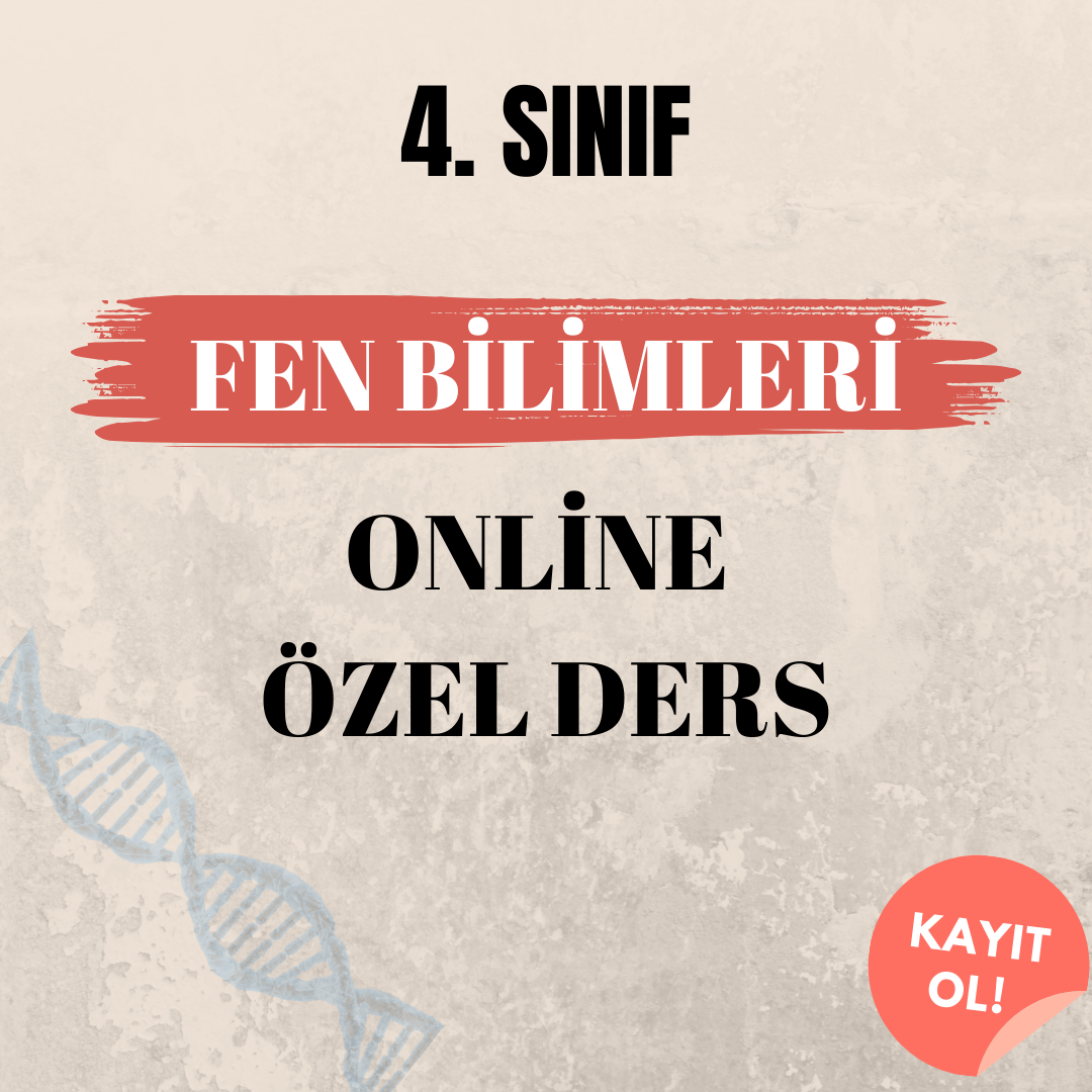 4. Sınıf Fen Bilimleri Online Özel Ders